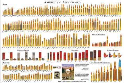 Pistol Bullet Size Chart