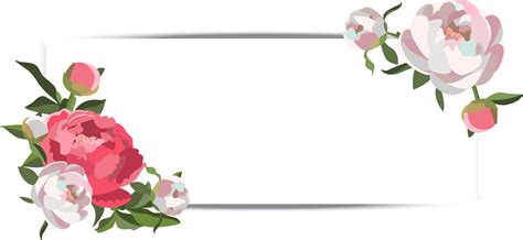 Vector horizontal wedding banner with white and pink peony floral ...