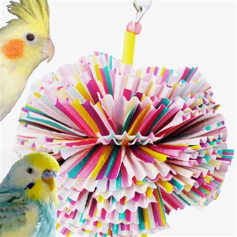 What Do Budgies Like To Play With? All Budgie Toys Explained!