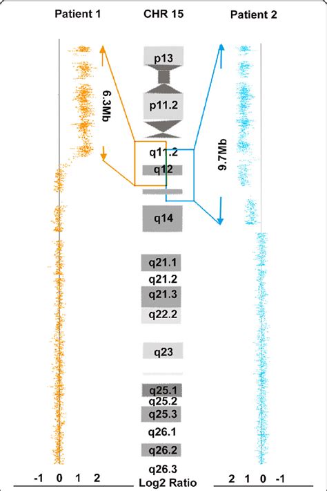 SNP array analysis of both patients. A gain in copy number in the ...