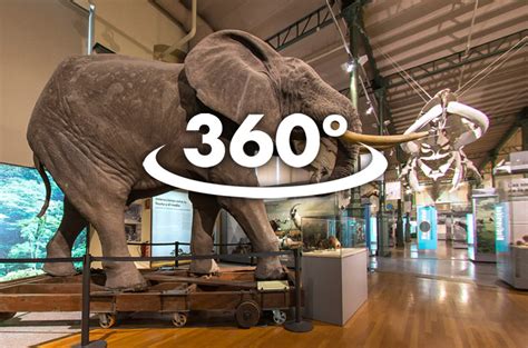 Museo de Ciencias Naturales 360 - Living Madrid