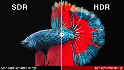 What Is HDR? HDR VS SDR Comparison – Medium Hunter