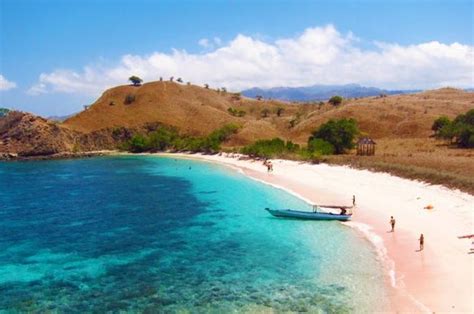 Pantai Pink Pulau Komodo - Homecare24