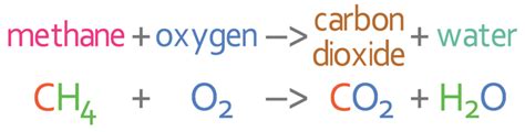 What Are Some Examples Of Combustion Reactions That Are Used In Human ...