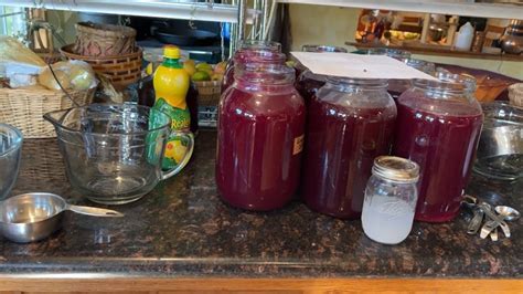 Plum Jelly Recipe (+Time-Saving Trick) — Homesteading Family