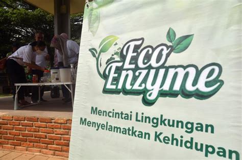 Yuk, Buat Eco Enzyme Sendiri di Rumah | Republika Online