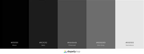 10 Black Color Palette Inspirations with Names & hex Codes! | Inside Colors