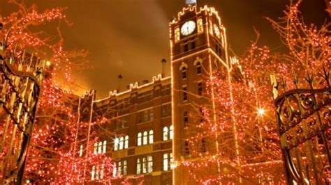 Tour the Anheuser-Busch Brewery Lights and Beer Museum