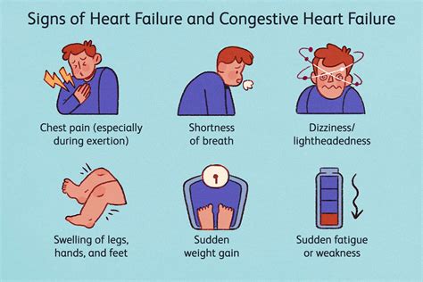 Congestive Heart Failure vs Heart Failure: Symptoms, Prevention