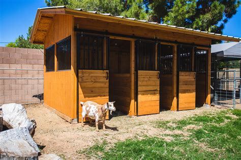 Our Custom Goat Barn! - Weed 'em & Reap