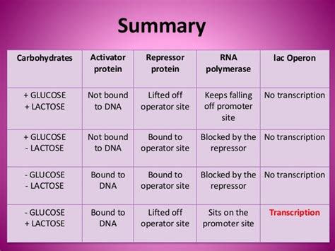 The Lac operon