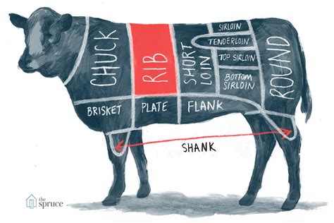 Beef Meat Cuts Chart