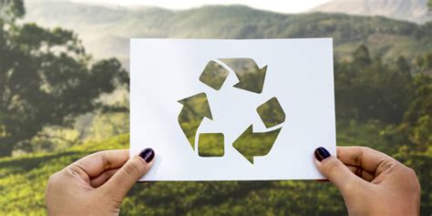 VENTAJAS DEL RECICLAJE DE PAPEL | Destrucción de documentos Zaragoza