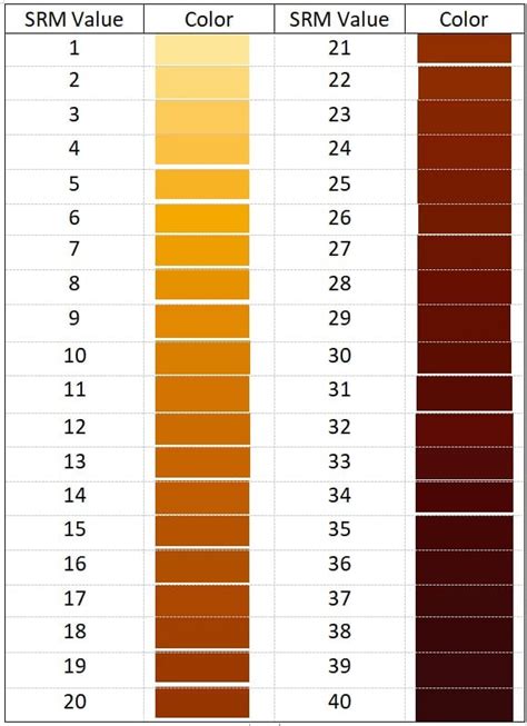 The Great Beer Color Guide: What Is SRM in Beer?