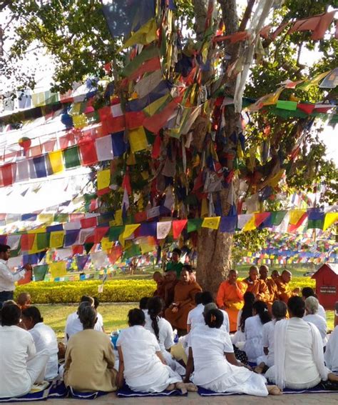 Bodhi Tree - Visits Nepal