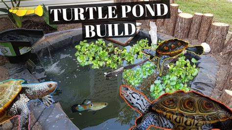 Outdoor Turtle Pond