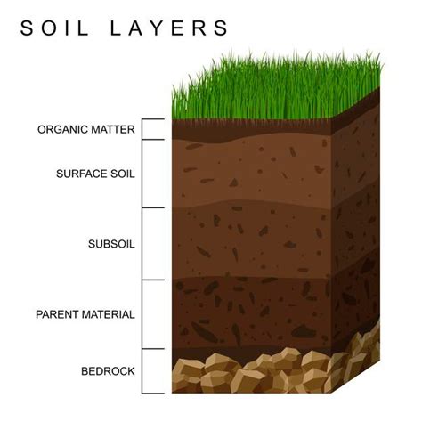 Ground Layers Of Soil