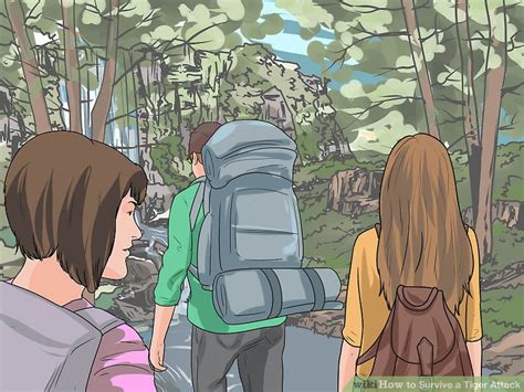 3 Ways to Survive a Tiger Attack - wikiHow