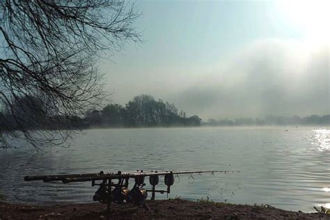 Warwickshire Carp Fishing Lakes Near Me - Discover The Best Fishing Spots