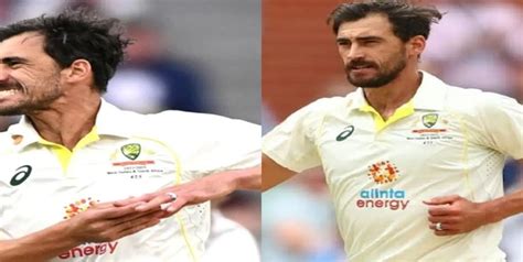 IND vs AUS: Mitchell Starc Injury update. Check availability for India ...