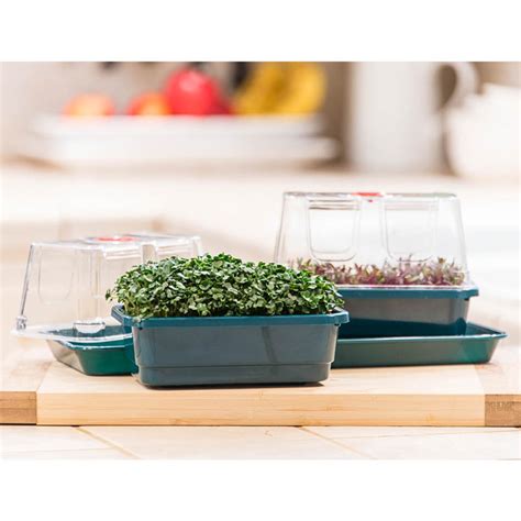 Microgreens Growing Kit: Garden Supplies from Gurney's