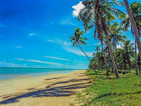 Paraíso Alagoas: Praia de Maragogi - Alagoas