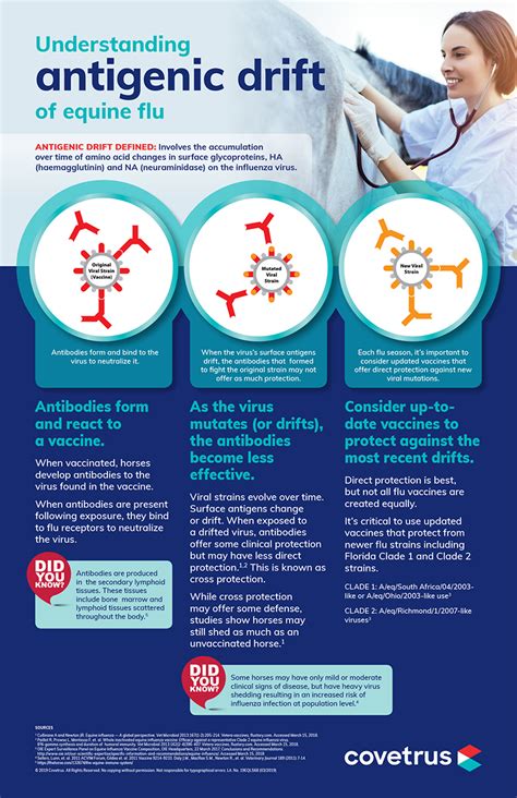 Understanding antigenic drift | Infographic