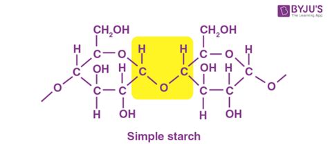 Corn Starch Structure