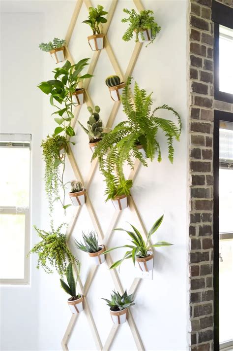 5 Fresh DIY Ways to Hang Plants Indoors DIY Hanging Planters for Indoor ...