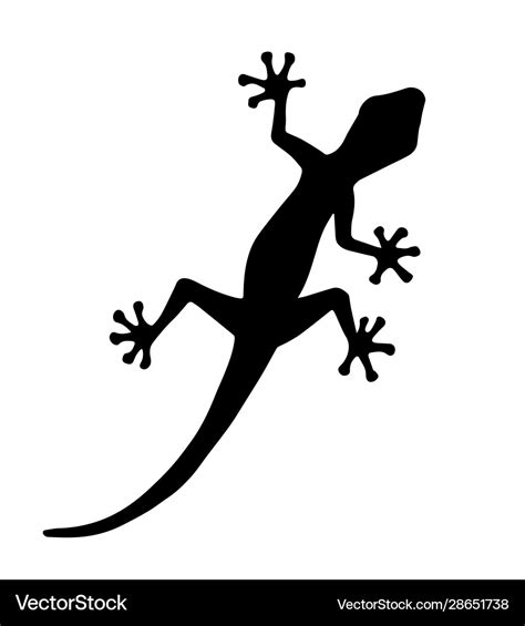 Black gecko lizard silhouette Royalty Free Vector Image