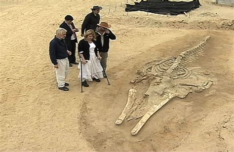 Mysterious Whale Graveyard Unearthed in Chilean Desert | Fox News