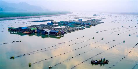 The True Environmental Impacts of Aquaculture | Greentumble