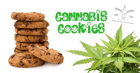 Best CBD Cookies UK - Cannabis Cookies - CBD World Online