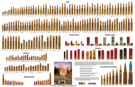 Cartridge Comparison Guide the Ultimate Hunting and Ballistics Manual ...