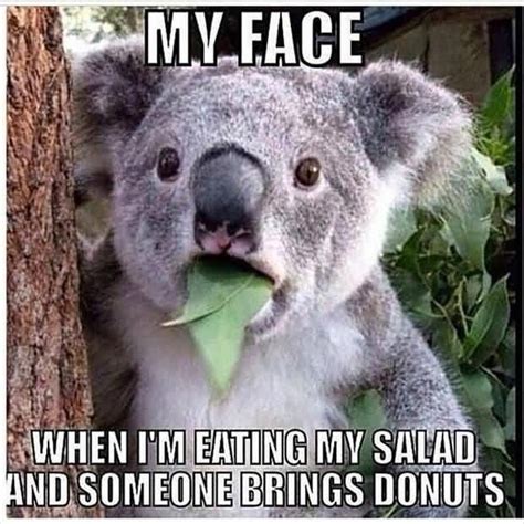 Funny Bear Quotes Meme Image 16 | QuotesBae