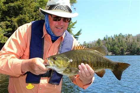 Exceptional Smallmouth Bass Fishing - The New Fly Fisher