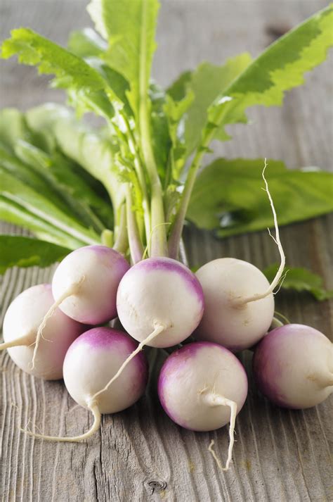 Here Are Some Helpful Tips On How to Grow Turnips