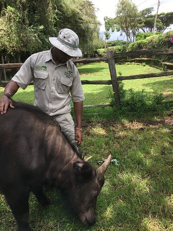 Mount Kenya Wildlife Conservancy (Nanyuki Town) - 2018 All You Need to ...