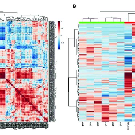 | Correlation of the metabolomics data. (A) Each metabolite in the ...