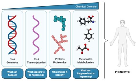 Metabolites | Free Full-Text | Toxicometabolomics: Small Molecules to ...