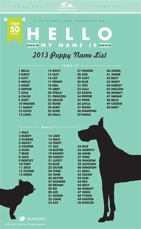 As 25 melhores ideias de Names for puppies no Pinterest