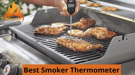 Best Smoker Thermometer | Digital Thermometer For Smoking