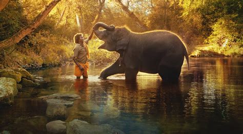 The Elephant Whisperers scores Oscar nomination in Best Documentary ...