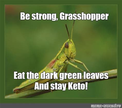 Meme: "Be strong, Grasshopper Eat the dark green leaves And stay Keto ...