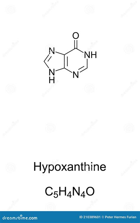 Hypoxanthine, Chemical Formula And Skeletal Structure Cartoon Vector ...