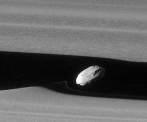 Cassini captures stunning view of Saturn moon Daphnis