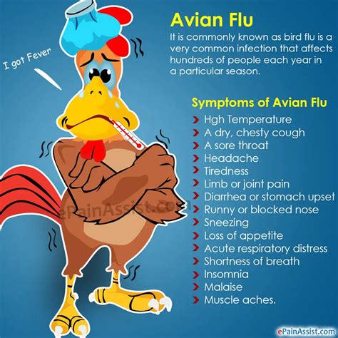 Avian Flu|Causes|Symptoms|Treatment|Prevention