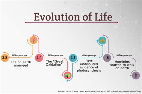 timeline of the evolution of life infographic - Simple Infographic ...