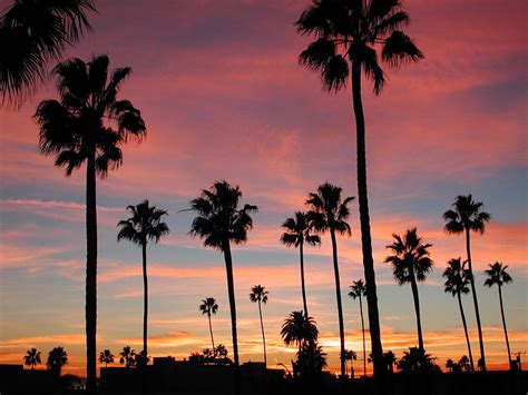 Long Beach, California Sunset