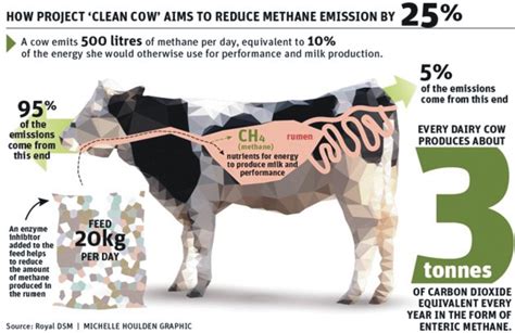 How Much Methane Gas Does A Cow Produce In Day - All About Cow Photos